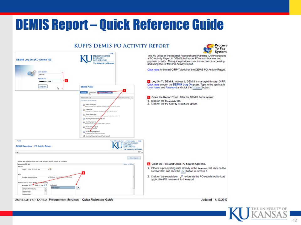 DEMIS Report – Quick Reference Guide 42