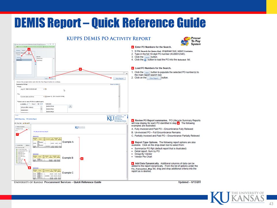 DEMIS Report – Quick Reference Guide 43