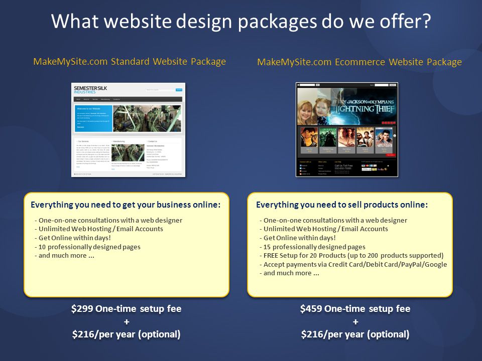 What website design packages do we offer.