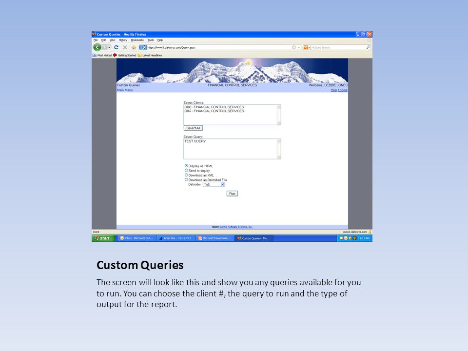 Custom Queries The screen will look like this and show you any queries available for you to run.