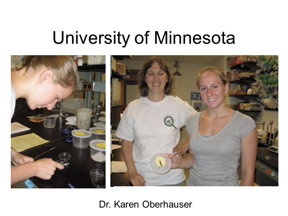 University of Minnesota Dr. Karen Oberhauser