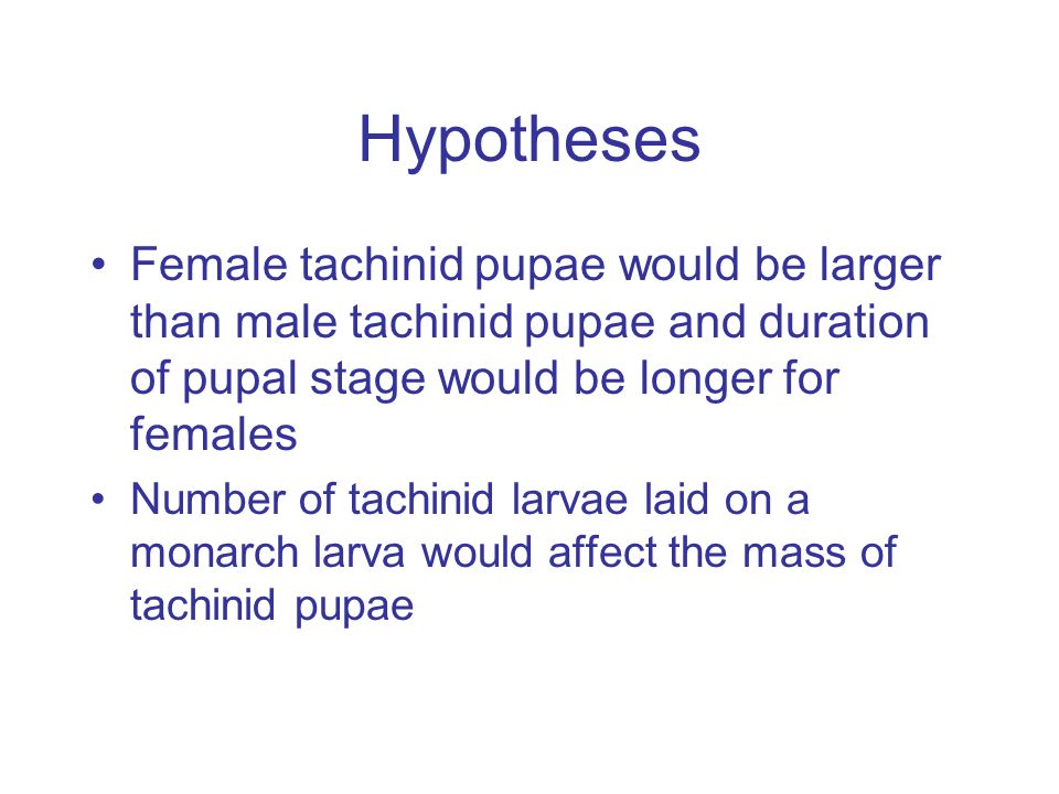 Hypotheses Female tachinid pupae would be larger than male tachinid pupae and duration of pupal stage would be longer for females Number of tachinid larvae laid on a monarch larva would affect the mass of tachinid pupae