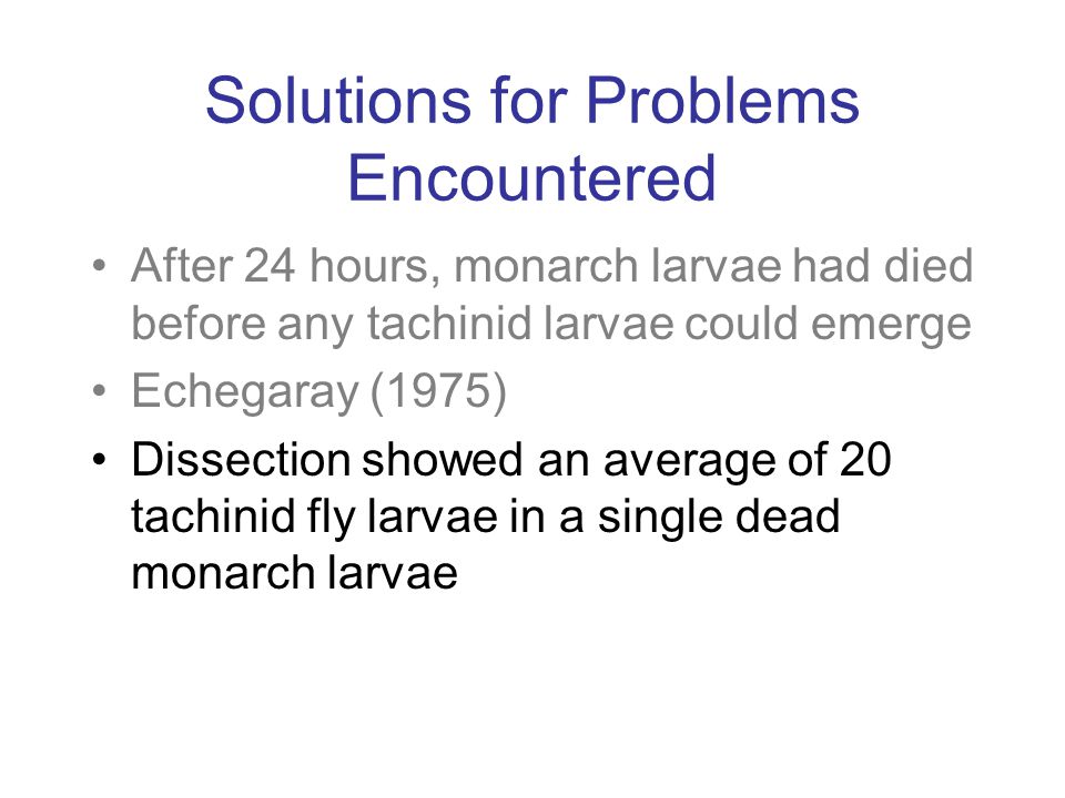 Solutions for Problems Encountered After 24 hours, monarch larvae had died before any tachinid larvae could emerge Echegaray (1975) Dissection showed an average of 20 tachinid fly larvae in a single dead monarch larvae