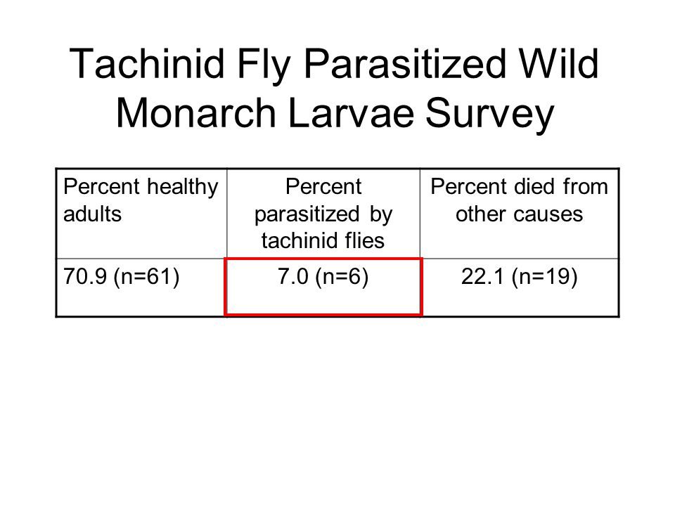 Tachinid Fly Parasitized Wild Monarch Larvae Survey Percent healthy adults Percent parasitized by tachinid flies Percent died from other causes 70.9 (n=61)7.0 (n=6)22.1 (n=19)