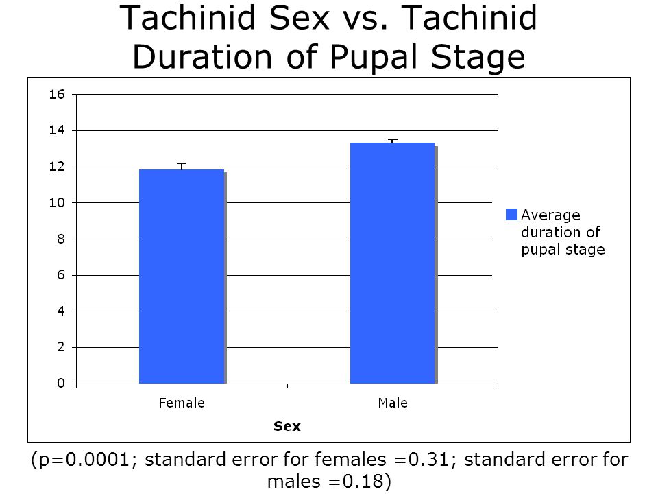 Tachinid Sex vs.