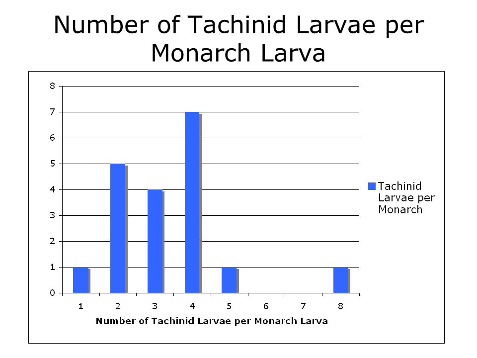Number of Tachinid Larvae per Monarch Larva