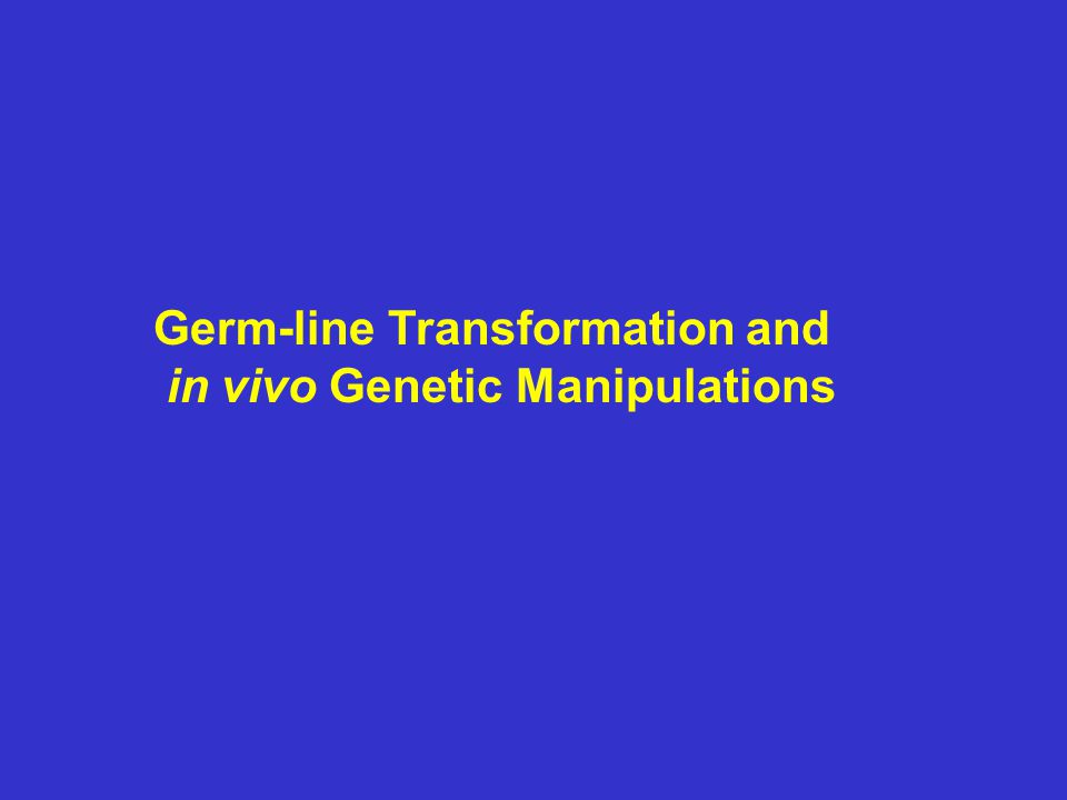 Germ-line Transformation and in vivo Genetic Manipulations