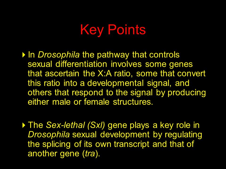 Key Points  In Drosophila the pathway that controls sexual differentiation involves some genes that ascertain the X:A ratio, some that convert this ratio into a developmental signal, and others that respond to the signal by producing either male or female structures.
