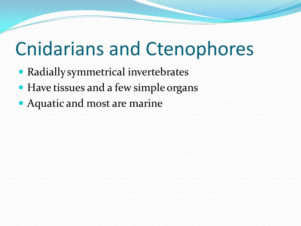 Cnidarians and Ctenophores Radially symmetrical invertebrates Have tissues and a few simple organs Aquatic and most are marine