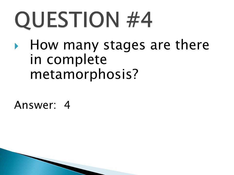  How many stages are there in complete metamorphosis Answer: 4