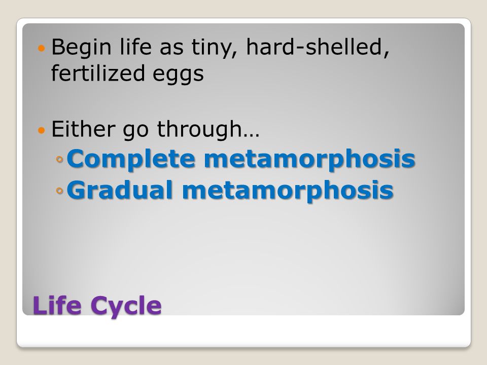Life Cycle Begin life as tiny, hard-shelled, fertilized eggs Either go through… ◦Complete metamorphosis ◦Gradual metamorphosis