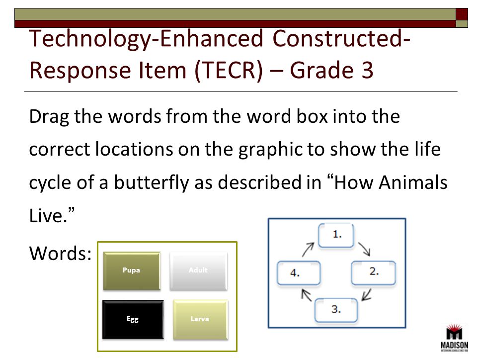 Drag the words from the word box into the correct locations on the graphic to show the life cycle of a butterfly as described in How Animals Live. Words: Technology-Enhanced Constructed- Response Item (TECR) – Grade 3 Pupa Adult Egg Larva