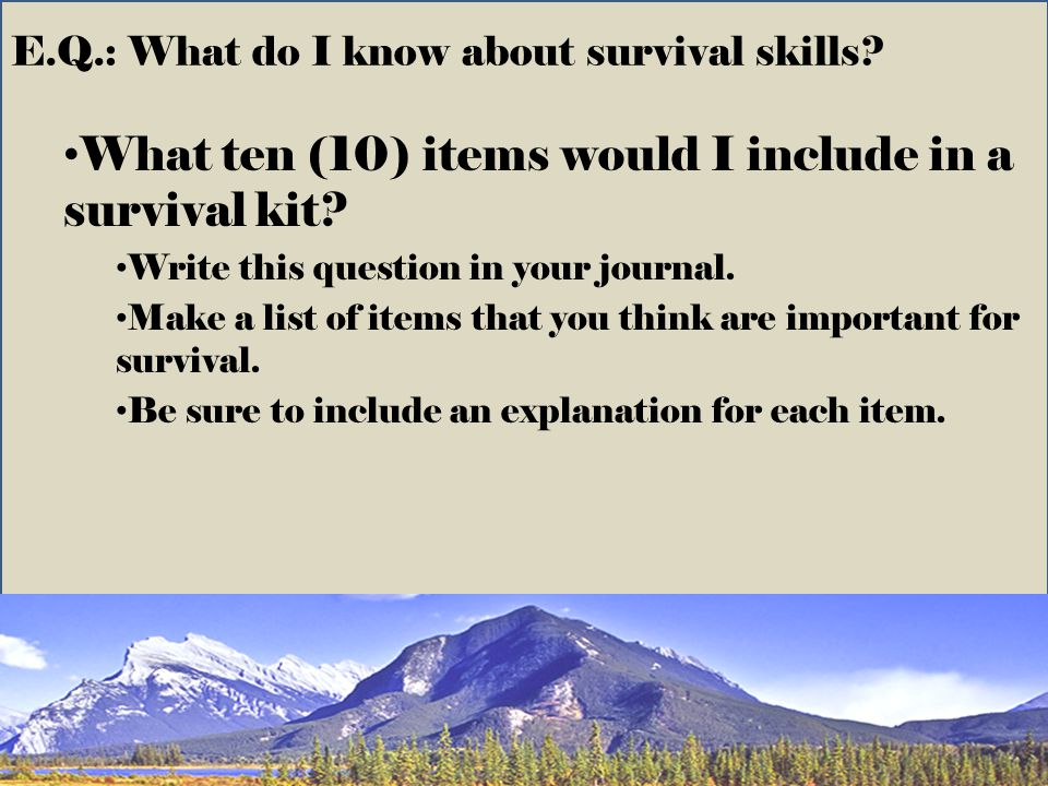 read this essay read this essay