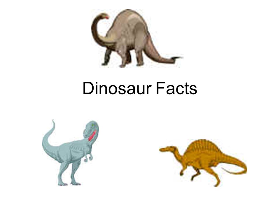 essay on dinosaurs for kids Extinction of dinosaurs two-hundred and thirty million years ago the first dinosaur-like creature roamed the earth dinosaurs were a very successful and diverse group, dominating the terrestrial environments of the earth for 160 million years. essay on dinosaurs for kids Extinction of dinosaurs two-hundred and thirty million years ago the first dinosaur-like creature roamed the earth dinosaurs were a very successful and diverse group, dominating the terrestrial environments of the earth for 160 million years.