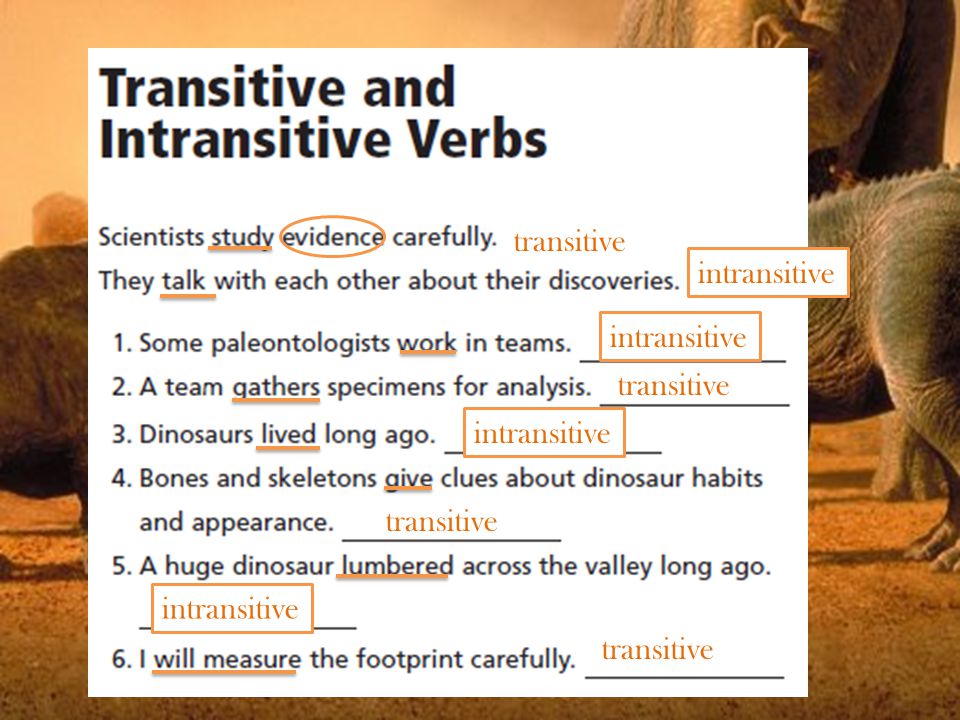 transitive intransitive transitive intransitive transitive intransitive transitive