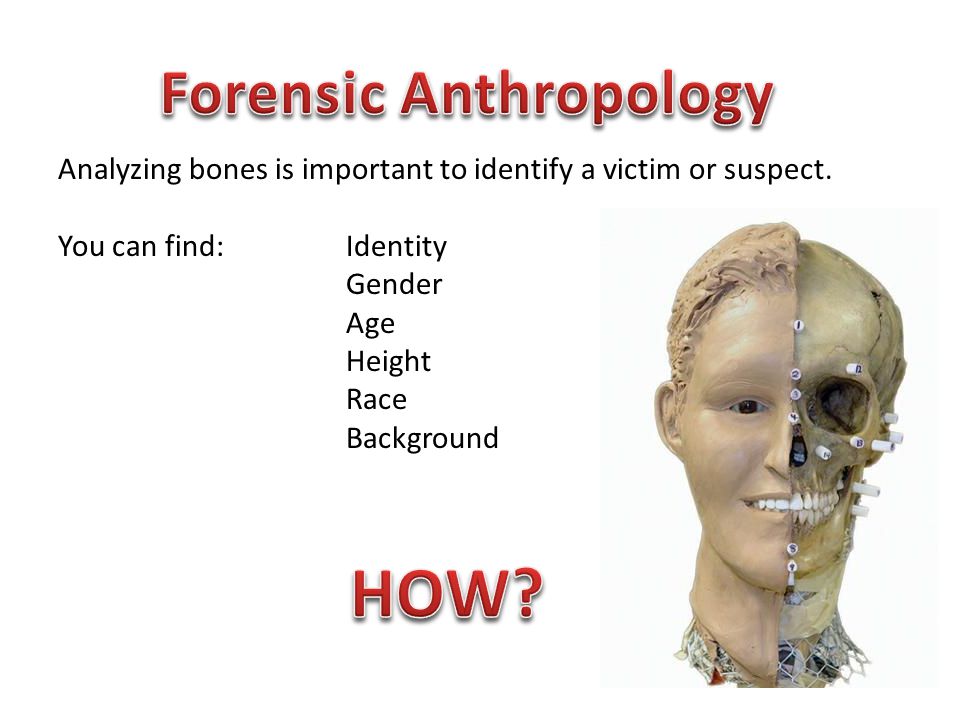 How to measure bones to determine sex of victim