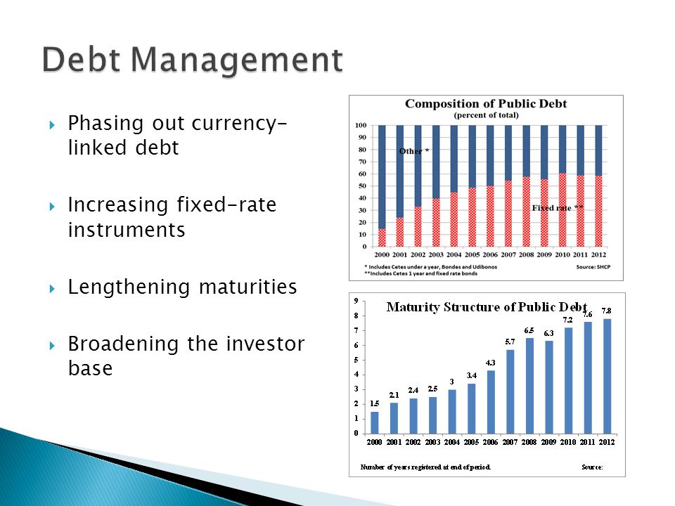  Phasing out currency- linked debt  Increasing fixed-rate instruments  Lengthening maturities  Broadening the investor base