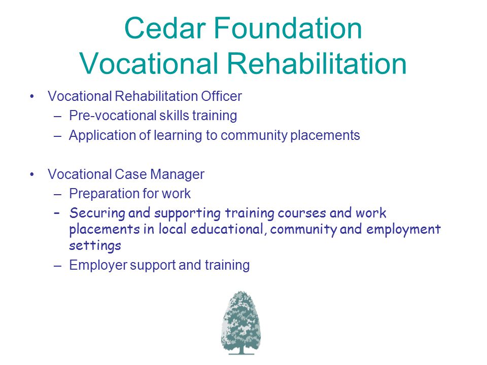 Cedar Foundation Vocational Rehabilitation Vocational Rehabilitation Officer –Pre-vocational skills training –Application of learning to community placements Vocational Case Manager –Preparation for work –Securing and supporting training courses and work placements in local educational, community and employment settings –Employer support and training