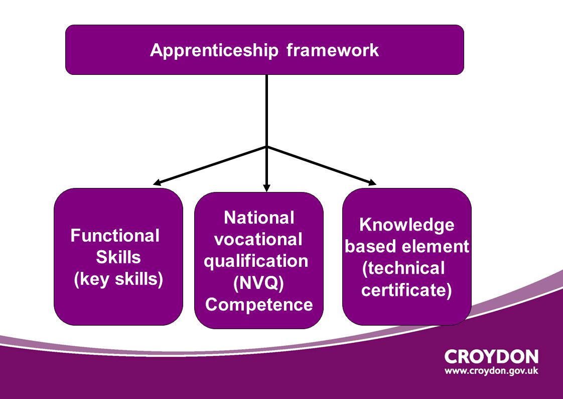 Apprenticeship framework Functional Skills (key skills) National vocational qualification (NVQ) Competence Knowledge based element (technical certificate)