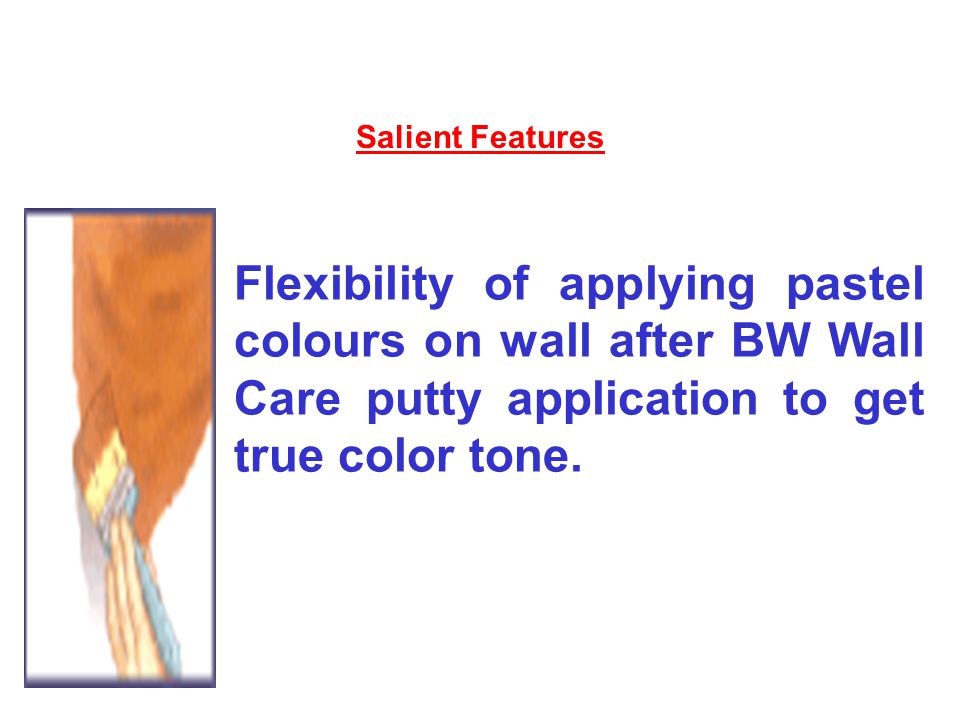 Salient Features Flexibility of applying pastel colours on wall after BW Wall Care putty application to get true color tone.