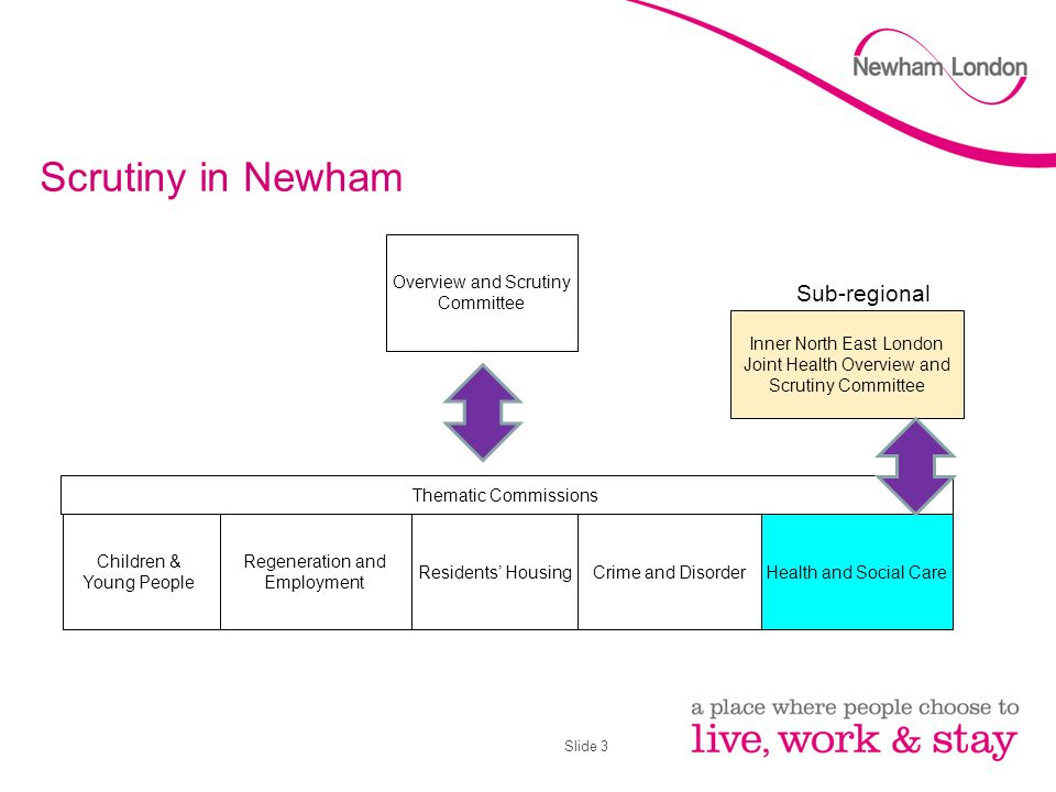 Slide 3 Scrutiny in Newham Children & Young People Regeneration and Employment Residents’ HousingCrime and DisorderHealth and Social Care Overview and Scrutiny Committee Inner North East London Joint Health Overview and Scrutiny Committee Sub-regional Thematic Commissions