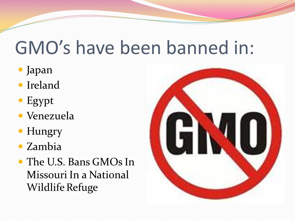 Disadvantages of GMO’s Health and safety The FDA does not test nor require tests for the safety of GM food Independent studies have shown GM food can cause heart, kidney and liver damage Gene transfer Creation on new allergies Unknown effects on humans Labeling No labeling requirements Ecological Cross pollination/results in new more resistant pests including weeds Works against nature Economical Costly and lengthy process Law suits-Intellectual property Many unknown Ethical Is it right