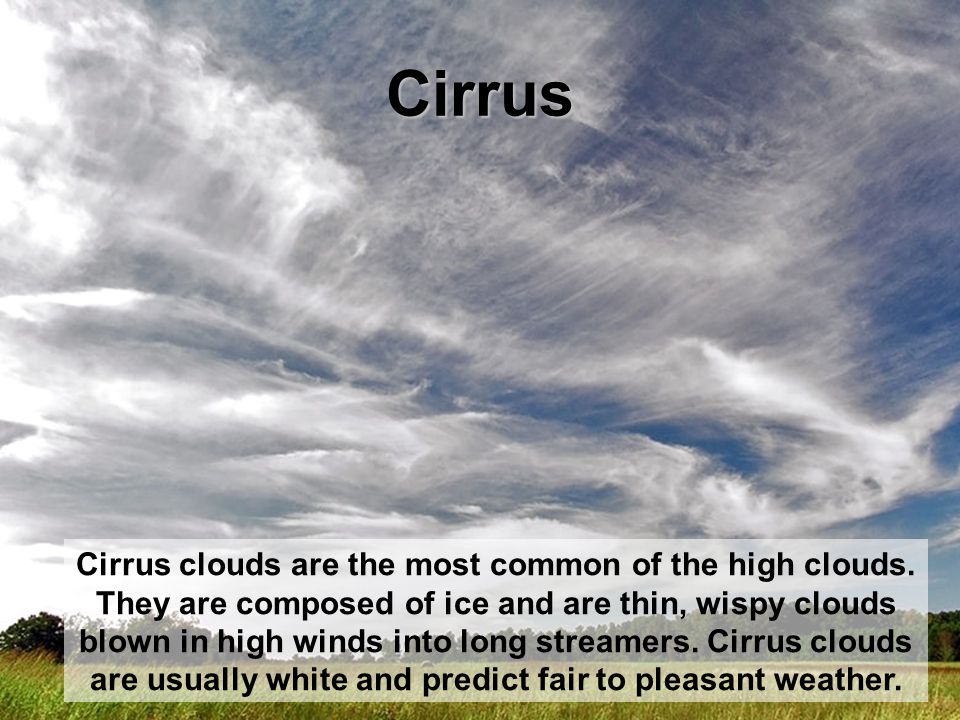 Cirrus Cirrus clouds are the most common of the high clouds.