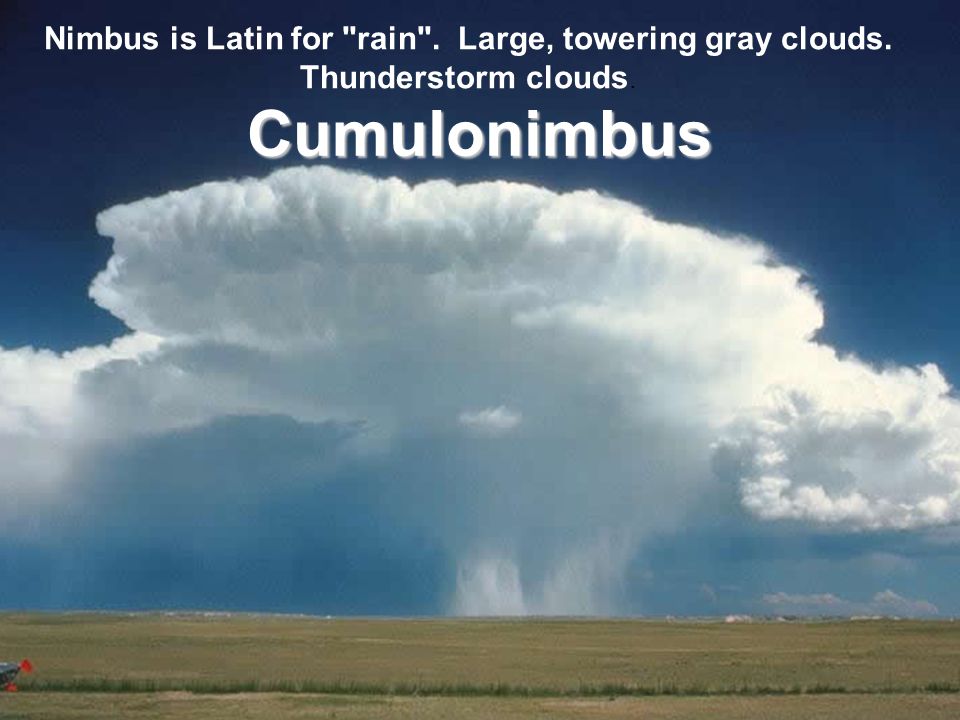 Cumulonimbus Nimbus is Latin for rain . Large, towering gray clouds. Thunderstorm clouds.