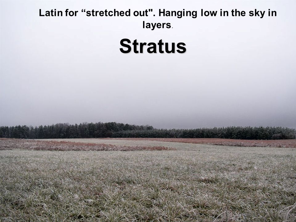 Stratus Latin for stretched out . Hanging low in the sky in layers.