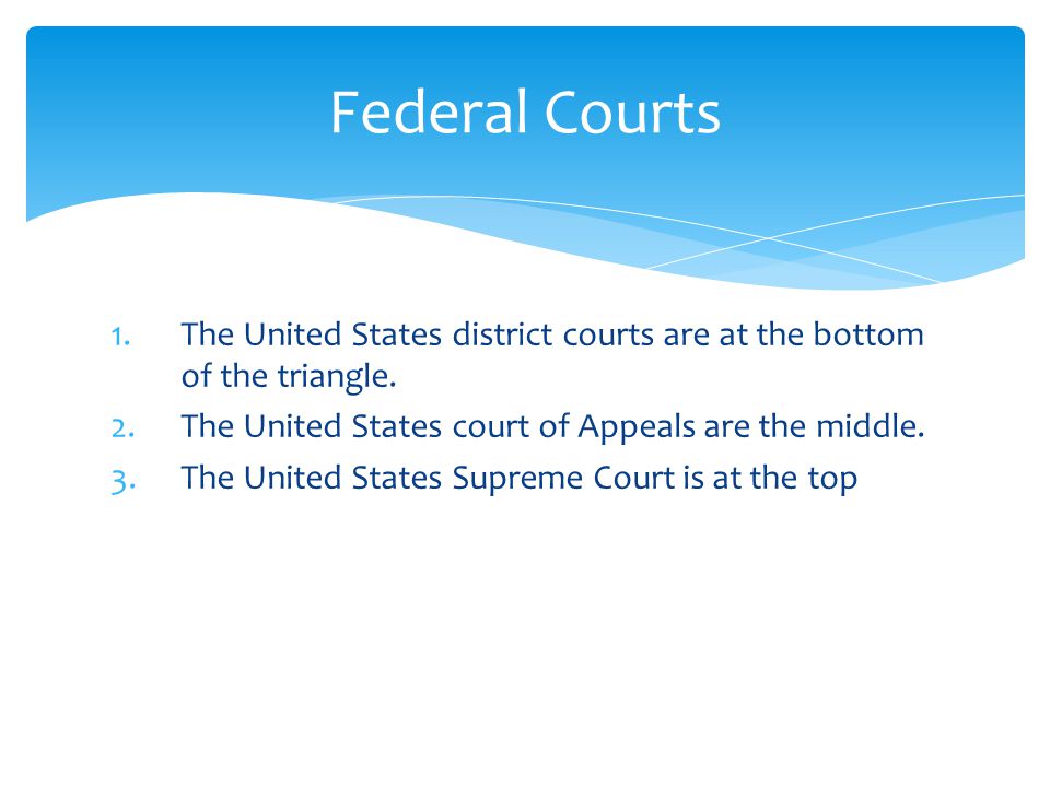 1.The United States district courts are at the bottom of the triangle.