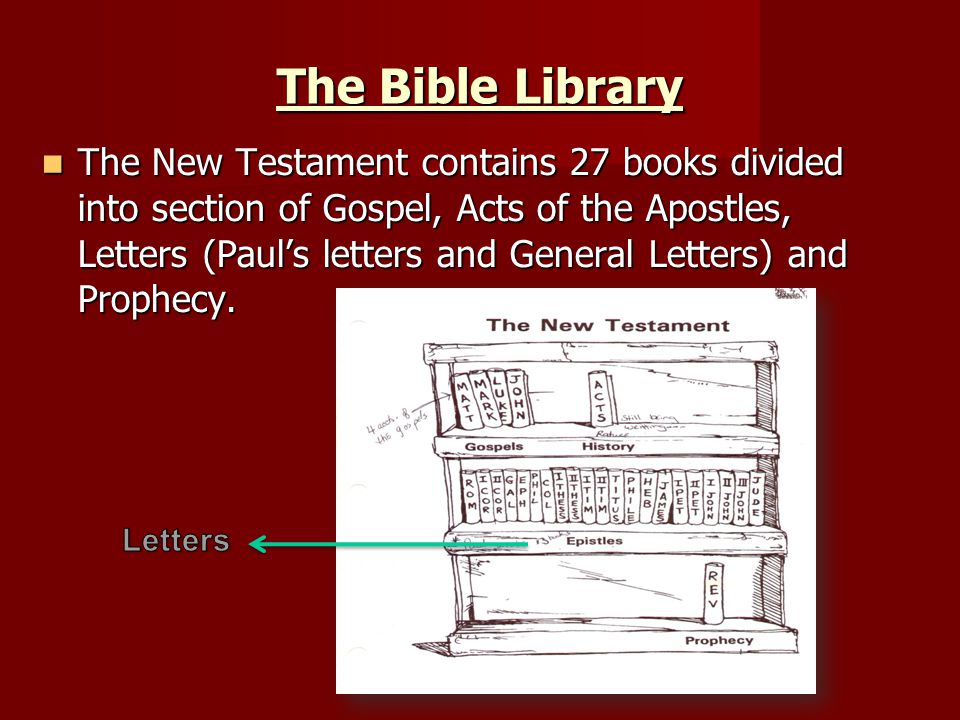 The Bible Library The New Testament contains 27 books divided into section of Gospel, Acts of the Apostles, Letters (Paul’s letters and General Letters) and Prophecy.