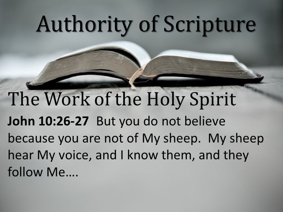 The Work of the Holy Spirit John 10:26-27 But you do not believe because you are not of My sheep.