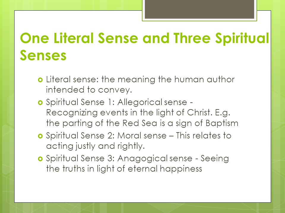 One Literal Sense and Three Spiritual Senses  Literal sense: the meaning the human author intended to convey.