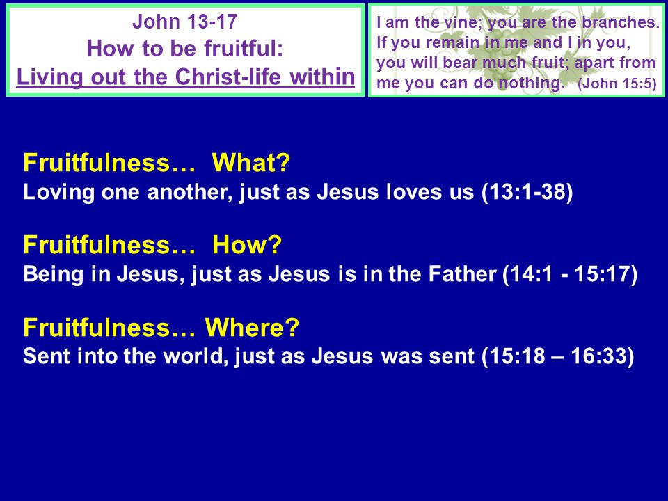 John How to be fruitful: Living out the Christ-life with in I am the vine; you are the branches.