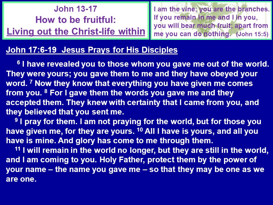 John How to be fruitful: Living out the Christ-life with in I am the vine; you are the branches.