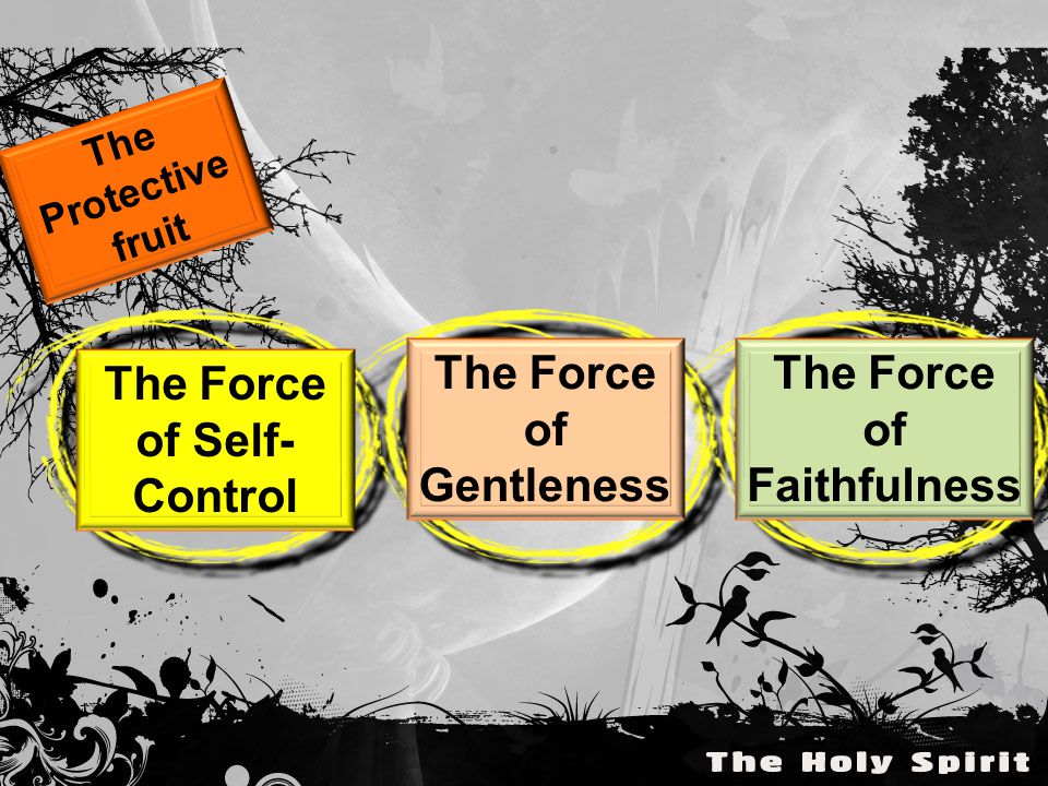 The Protective fruit The Force of Self- Control The Force of Gentleness The Force of Faithfulness