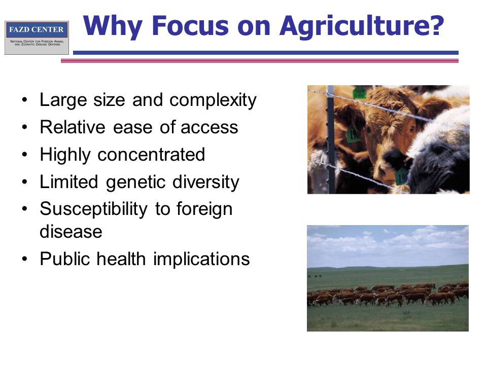 Why Focus on Agriculture.