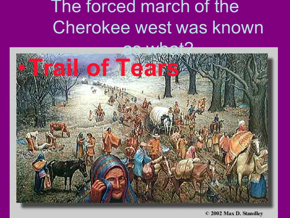 The forced march of the Cherokee west was known as what Trail of Tears