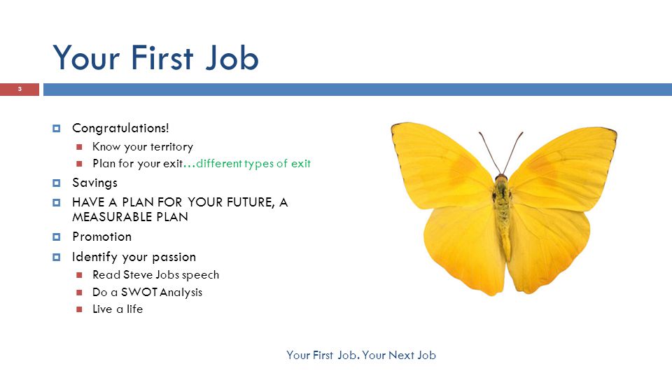 3 Your First Job Congratulations 3 Your First Job Congratulations