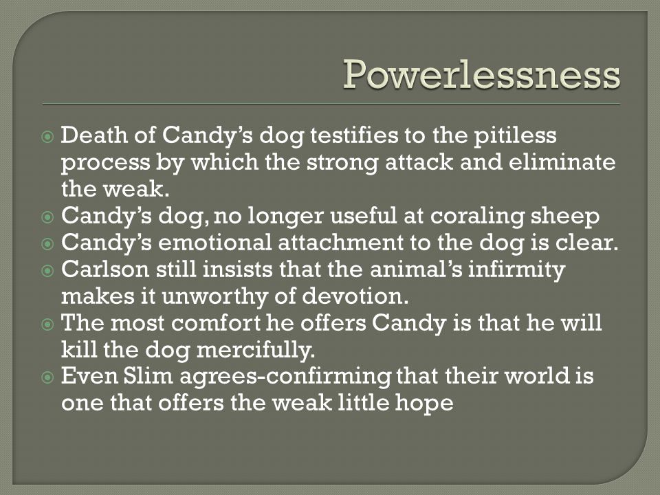  Death of Candy’s dog testifies to the pitiless process by which the strong attack and eliminate the weak.