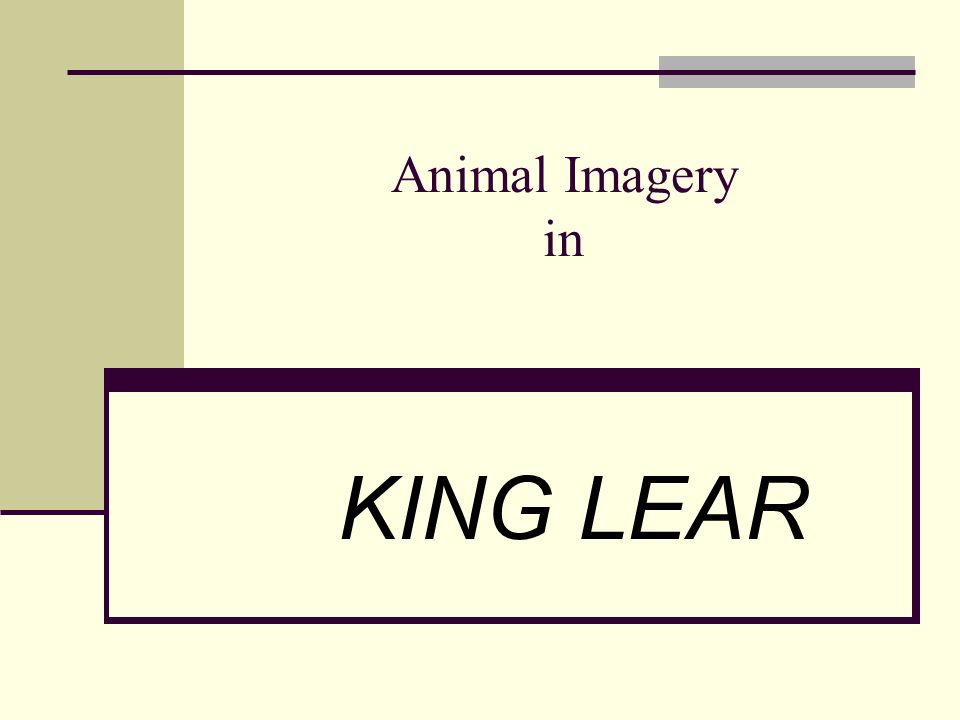 lear essay lear essay