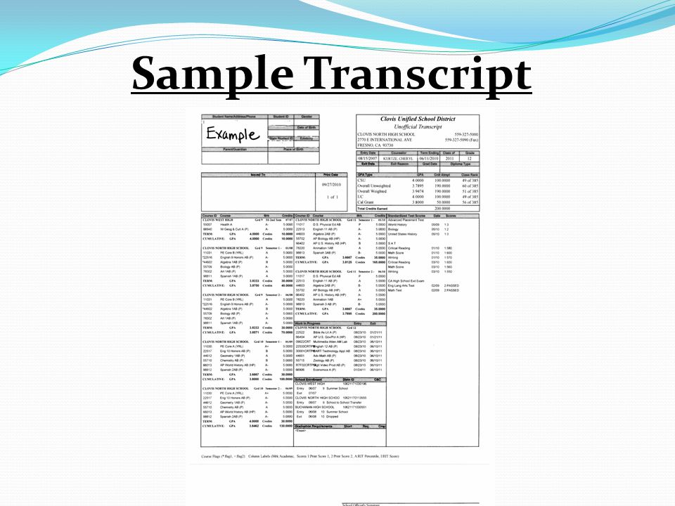 Sample Transcript