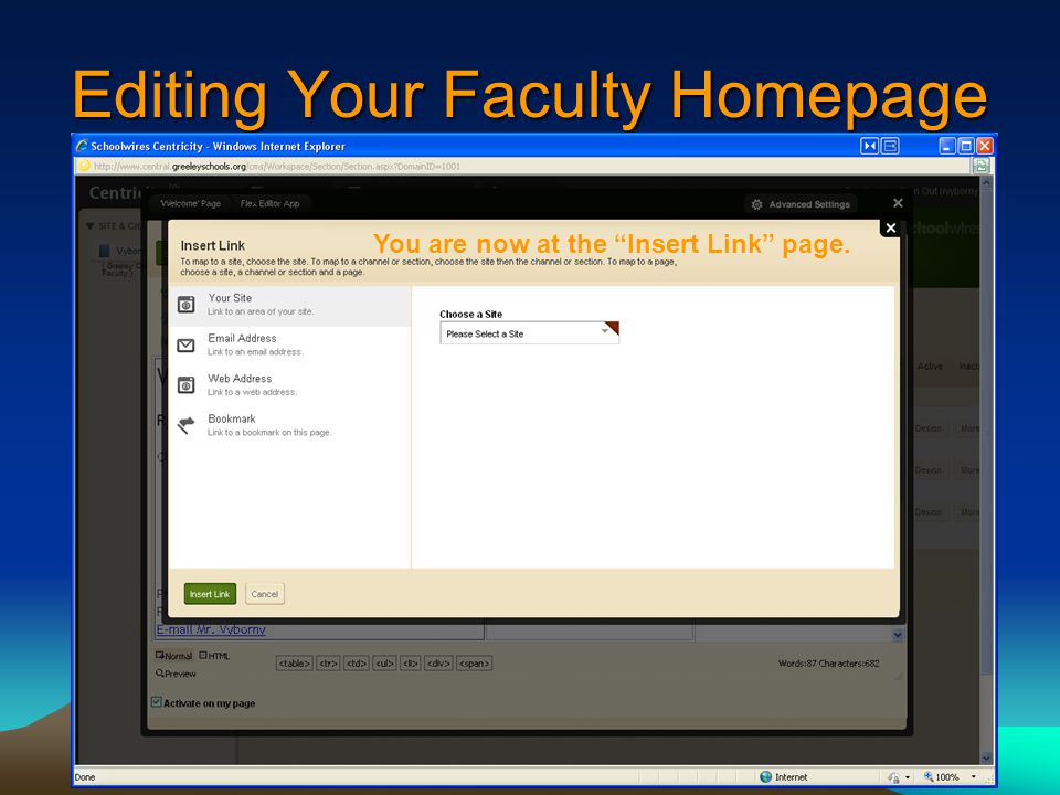 Editing Your Faculty Homepage You are now at the Insert Link page.