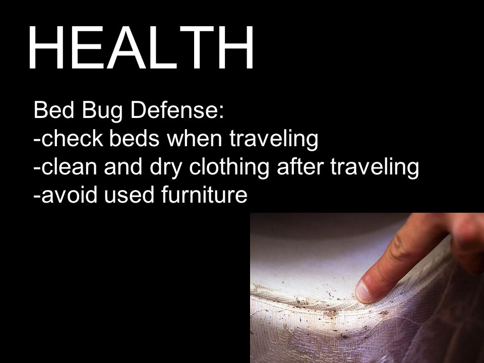 HEALTH Bed Bug Defense: -check beds when traveling -clean and dry clothing after traveling -avoid used furniture