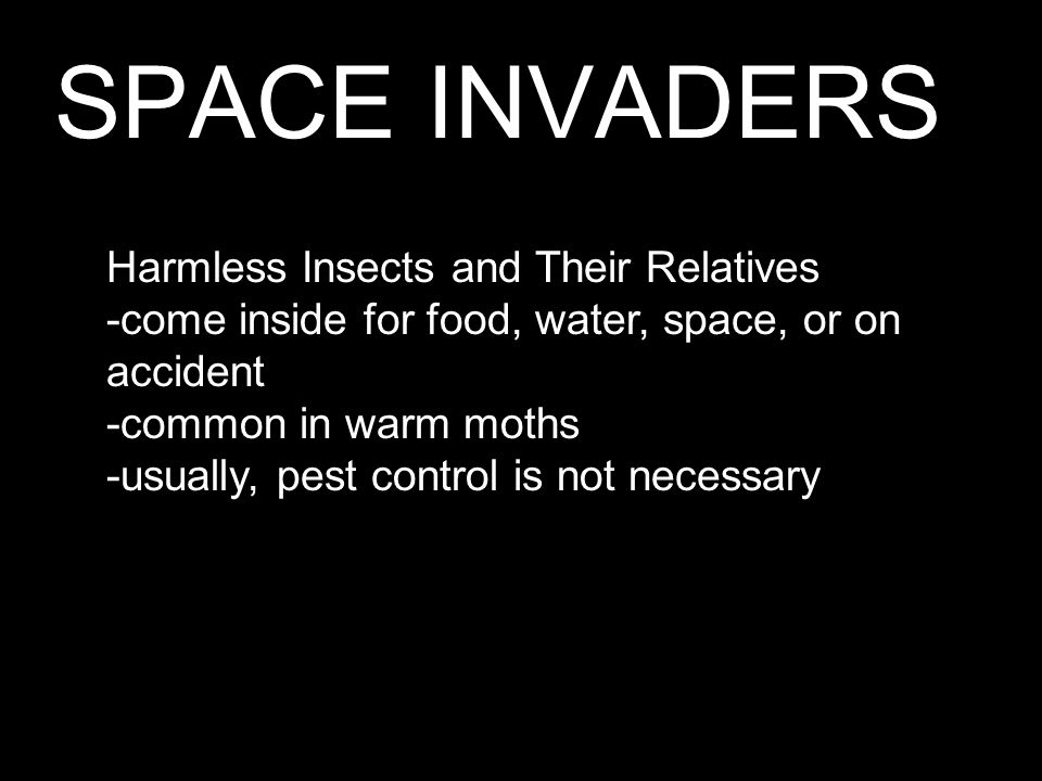 SPACE INVADERS Harmless Insects and Their Relatives -come inside for food, water, space, or on accident -common in warm moths -usually, pest control is not necessary