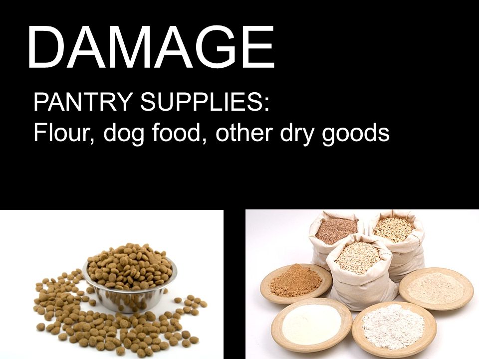 DAMAGE PANTRY SUPPLIES: Flour, dog food, other dry goods