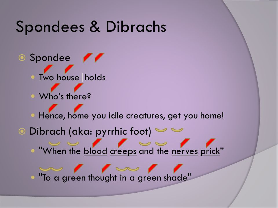 Spondees & Dibrachs  Spondee Two house|holds Who’s there.