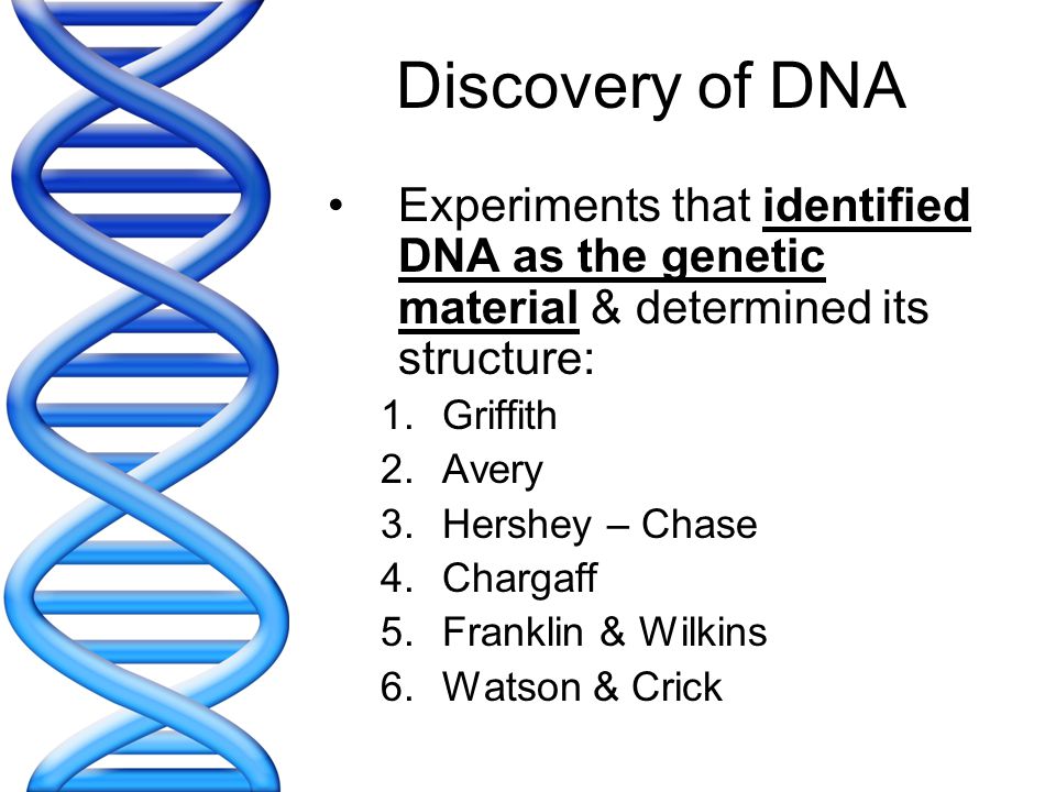 Pictures Chapter 11 Dna And Genes Worksheet Answers Chapter 11 Dna And Genes Worksheet Answers Irade Co