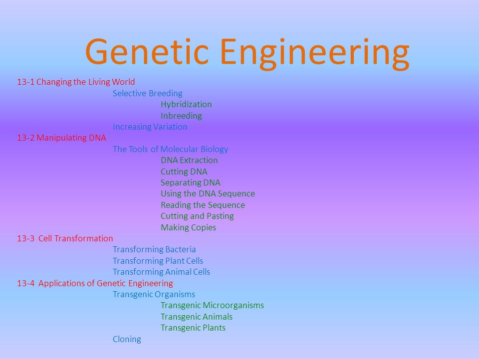 Genetic Engineering 13-1 Changing the Living World Selective Breeding Hybridization Inbreeding Increasing Variation 13-2 Manipulating DNA The Tools of Molecular Biology DNA Extraction Cutting DNA Separating DNA Using the DNA Sequence Reading the Sequence Cutting and Pasting Making Copies 13-3 Cell Transformation Transforming Bacteria Transforming Plant Cells Transforming Animal Cells 13-4 Applications of Genetic Engineering Transgenic Organisms Transgenic Microorganisms Transgenic Animals Transgenic Plants Cloning