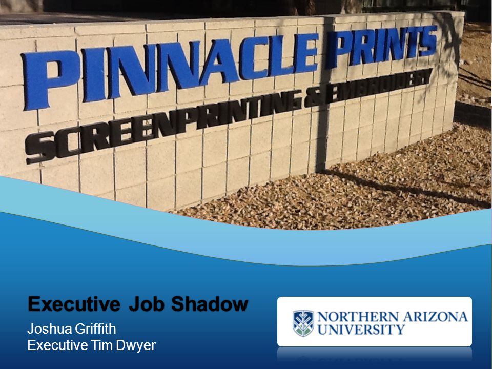 Joshua Griffith Executive Tim Dwyer Executive Job ShadowExecutive Job Shadow
